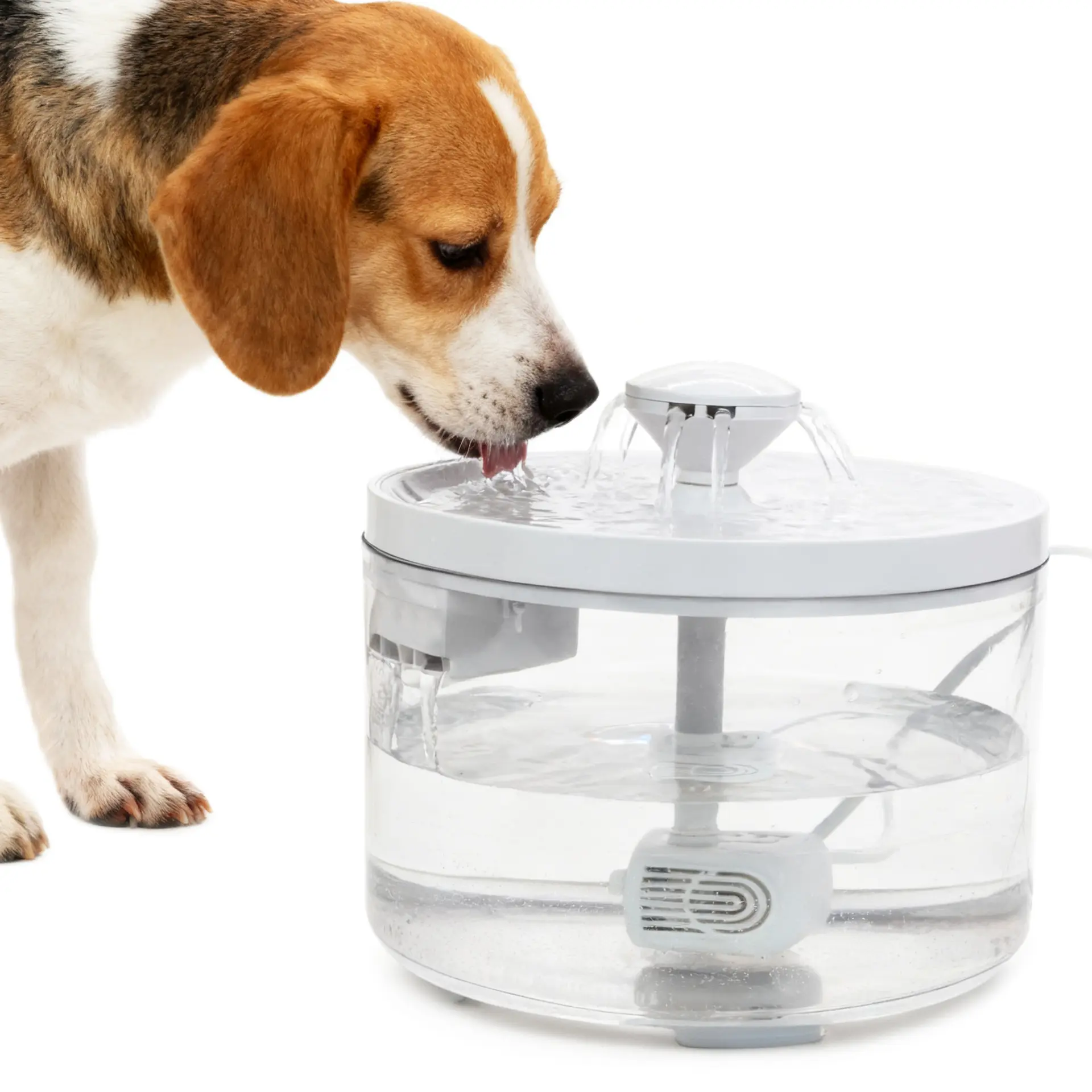 Automatic Pet Water Fountain, Circulating Drinking Dispenser