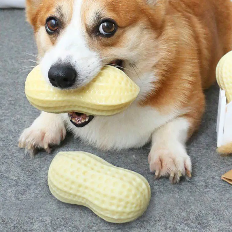 Funny Pet Dog Squeaky Toys For Small Middle Dogs Bite Resistant Puppy Cat Dogs Toys Pets Rubber Peanut Clean Tooth Chew Toy – image 3