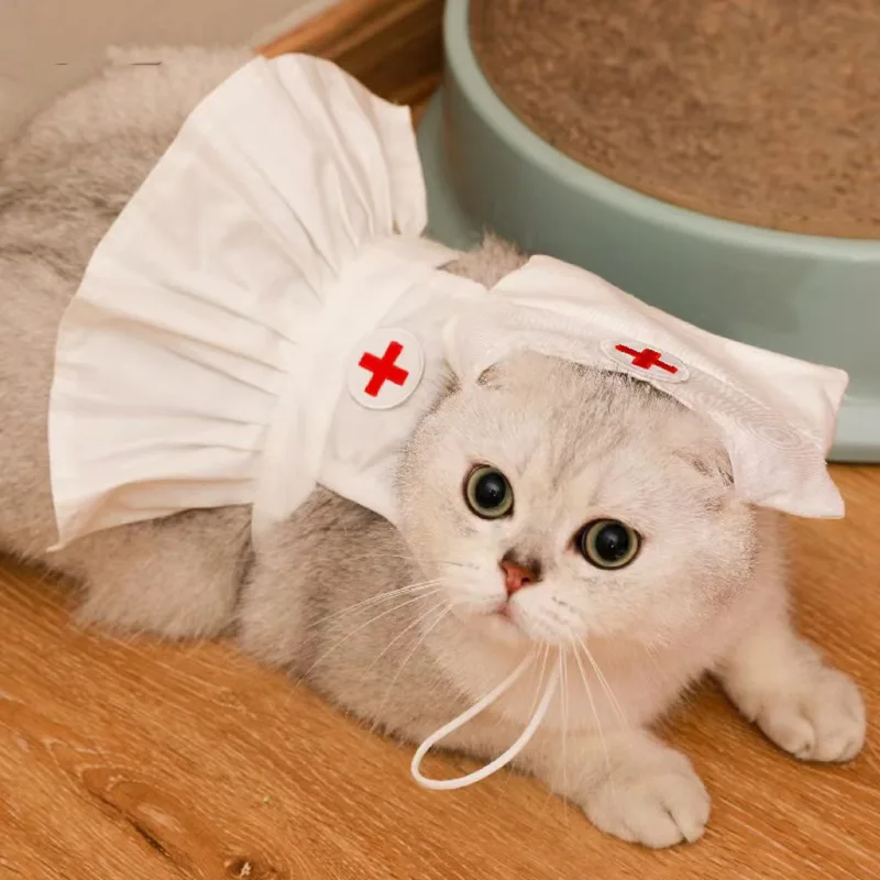 Fashionable and Personalized Cat Dress Set