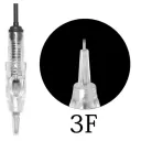 3Fp
