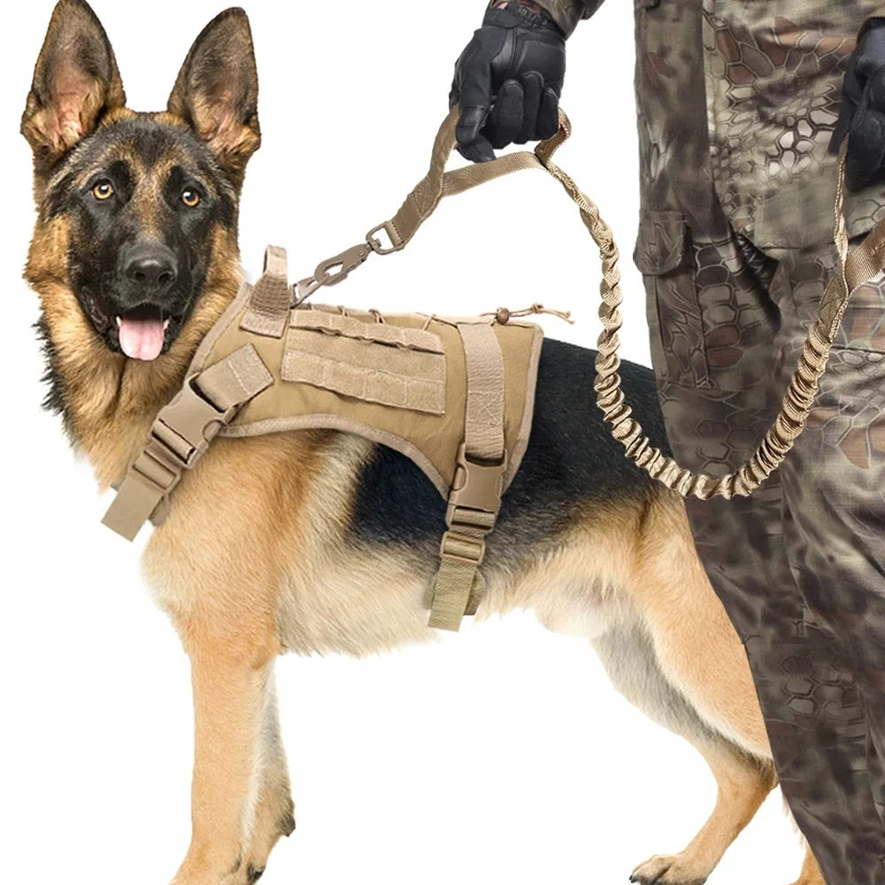 Elastic Buffer of Outdoor Pet Traction Rope