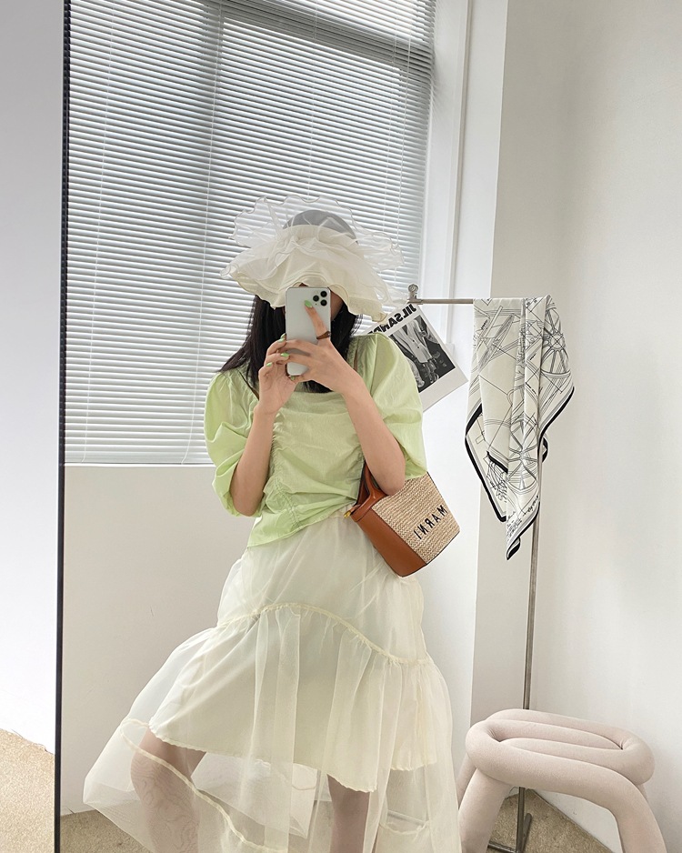 Slim Women's Korean Style Black Mesh Skirt