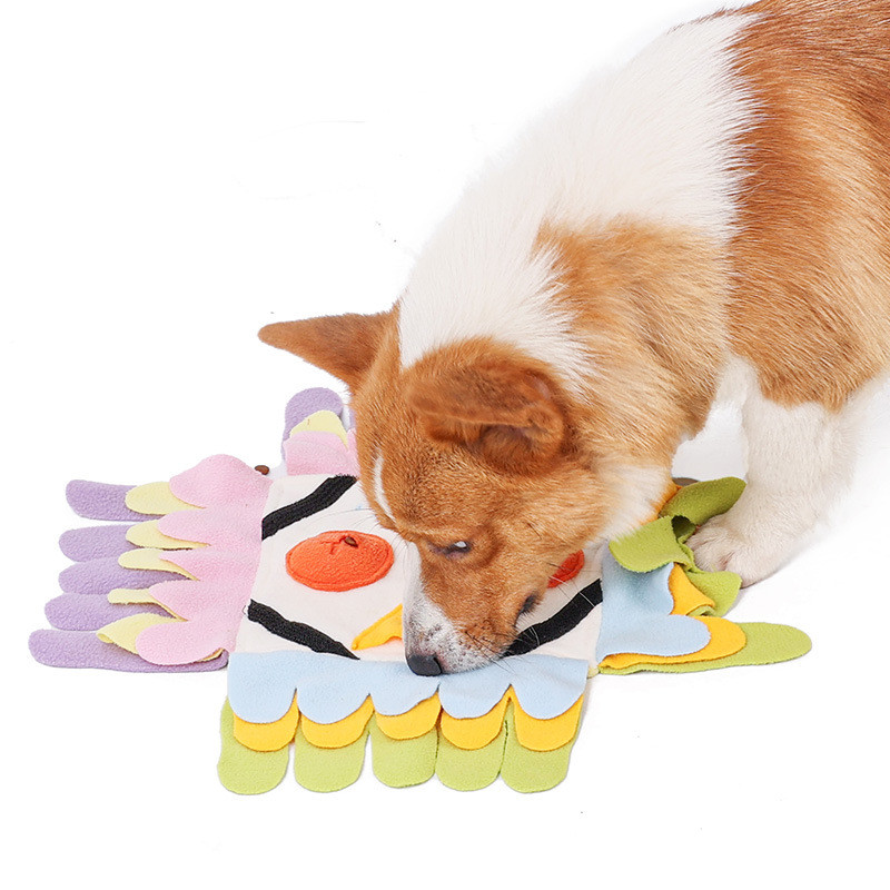 Muutuv koeramänguasi igavuse leevendamiseks