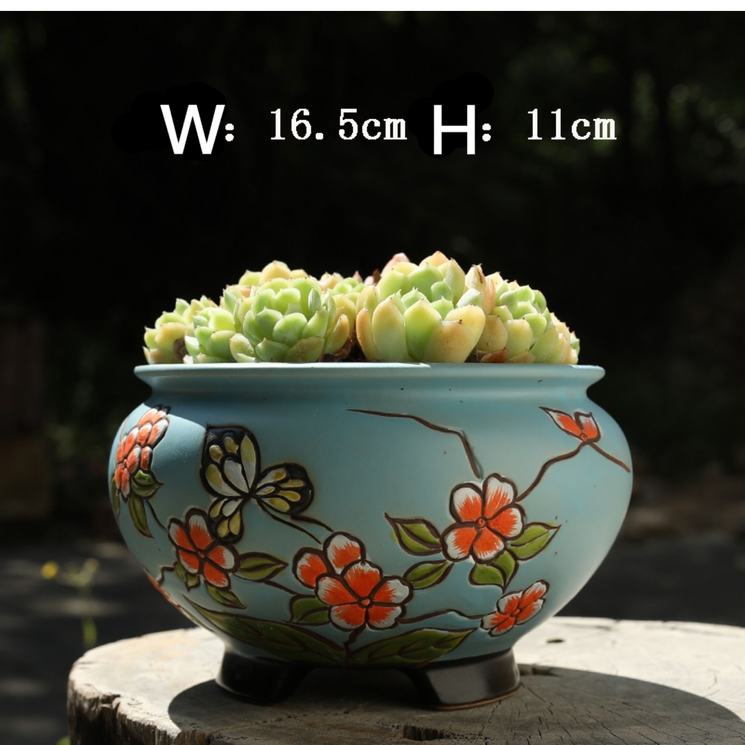Hand-painted Large-caliber Succulent Flower Pot Coarse Ceramic Breathable