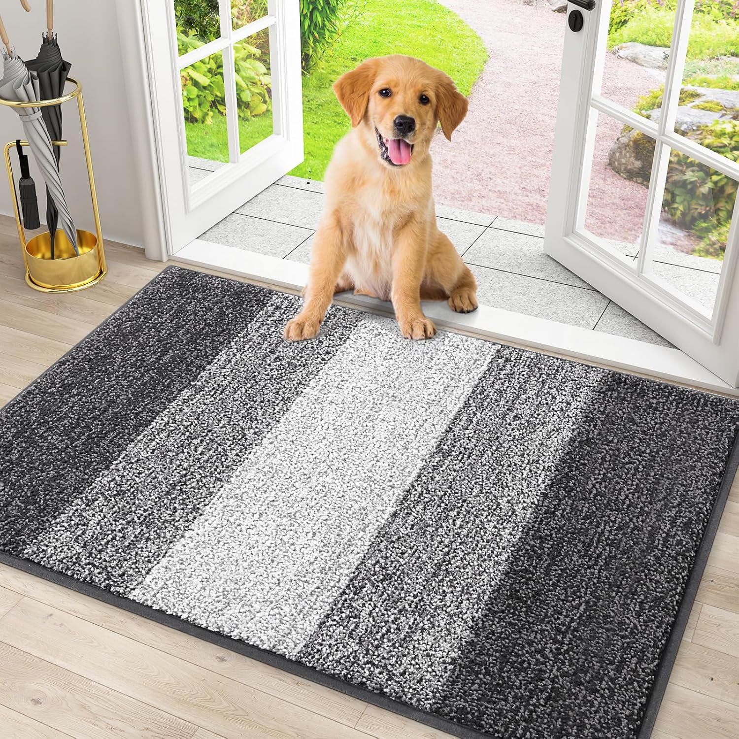 Dog Door X 20 Inches