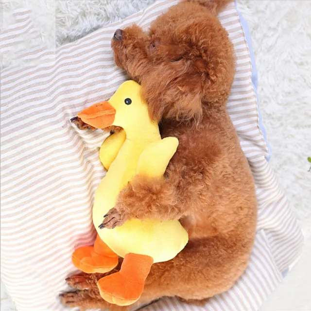 Dog Plush Toy Pet Vocal Toy Huayuan Pet Yellow - Shop at LoveMi