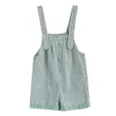 Striped Overalls