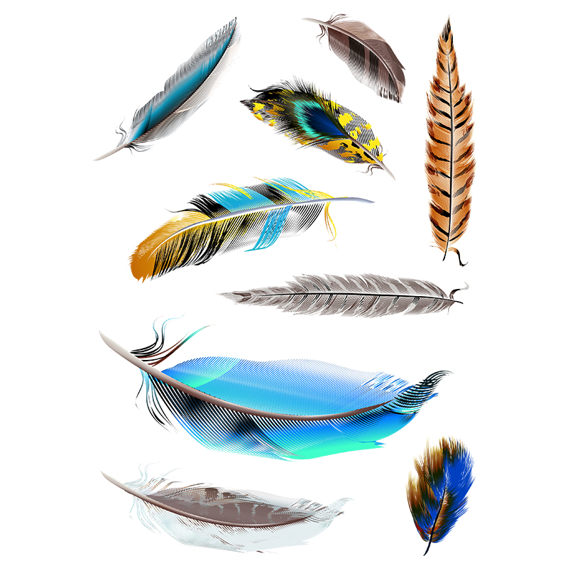 Car Body Scar Cover Funny Frog Sticker