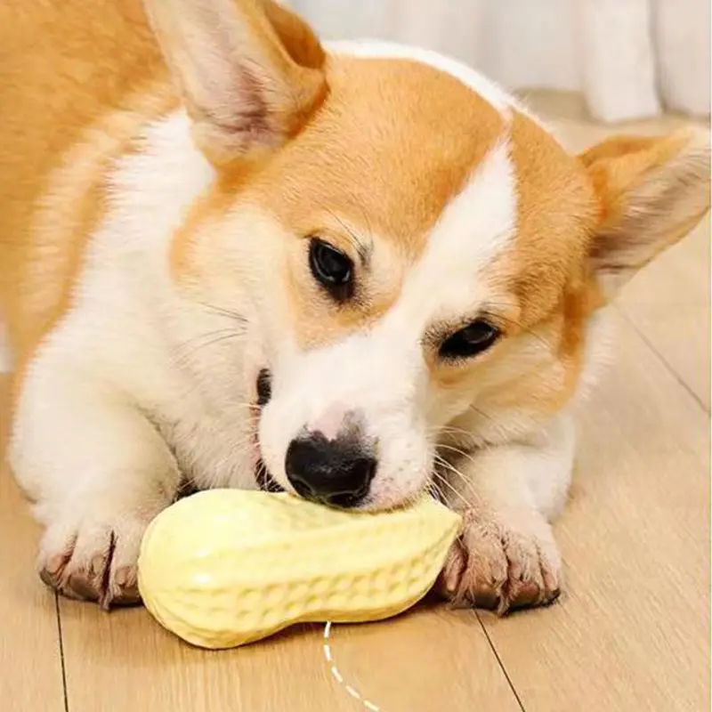 Dog Chewing Toy Simulation Peanut Squeaking Plaything