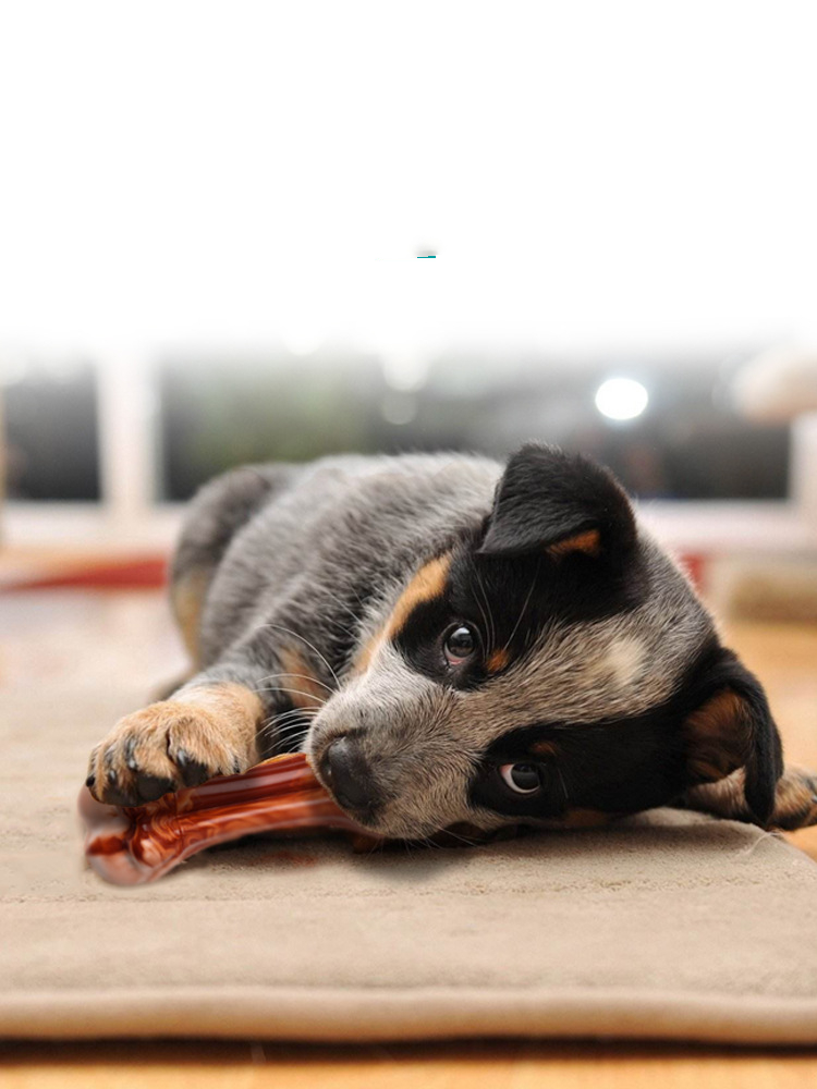 Molar Cleaning Teeth Bite Resistant Simulation Dog Bone With Meat Smell