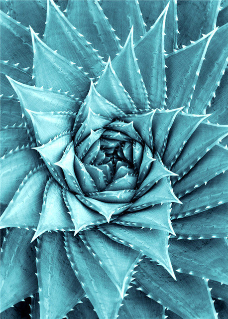 Diamond Embroidery Cactus Flower Plant Green Diamond Painting Cross Stitch Rhinestones