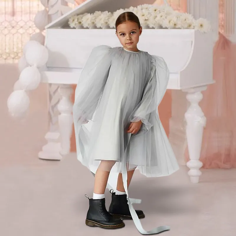 Fairy Long Sleeve Mesh Dress