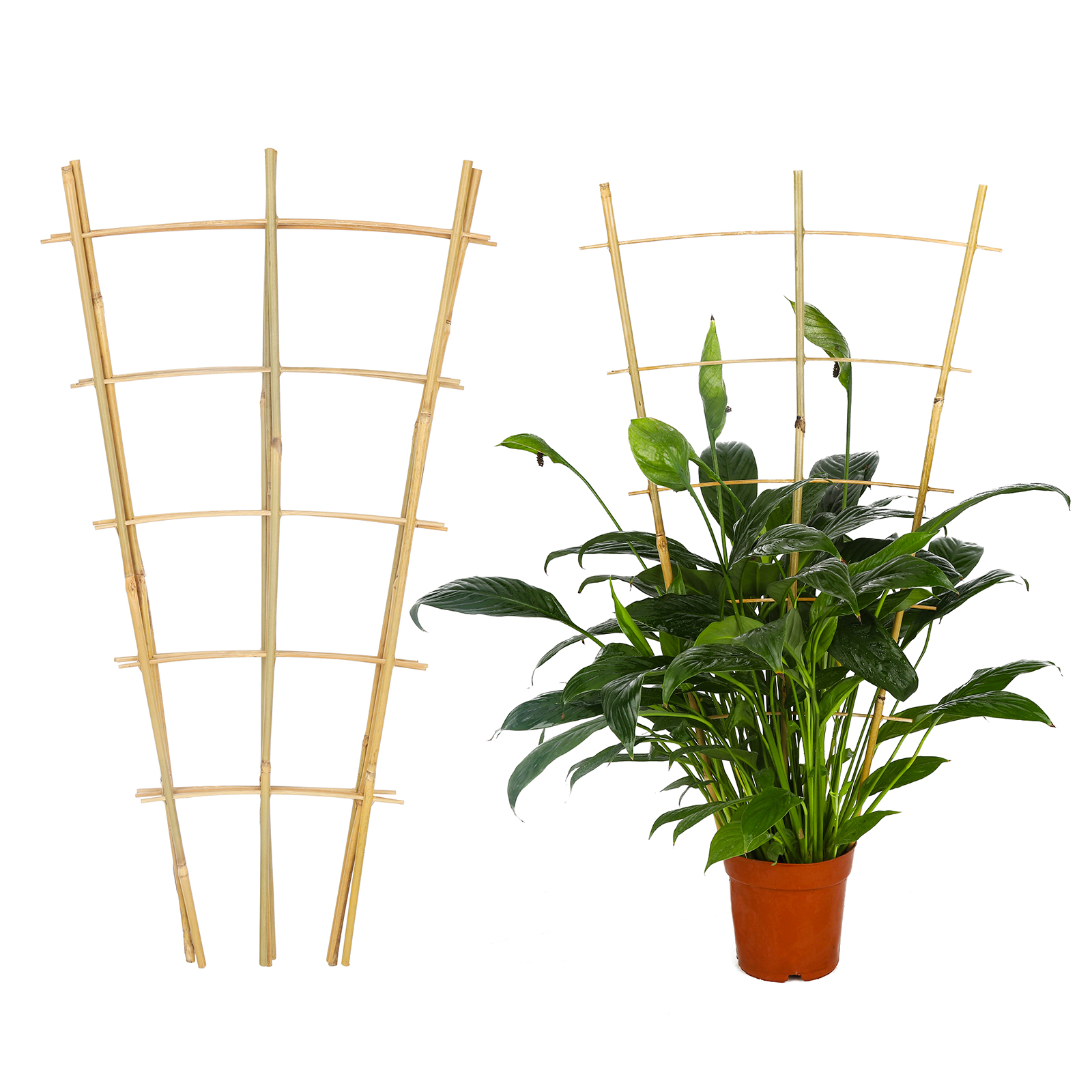 Bamboo Garden Trellis, 24 Inch