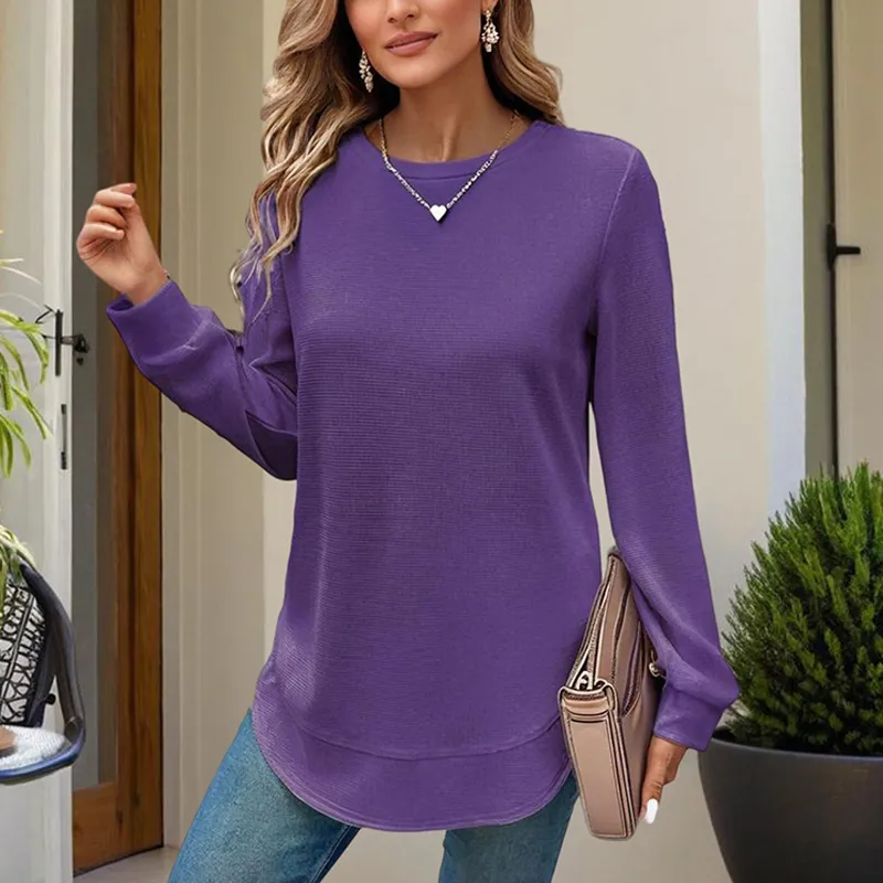 Women's Elegant Solid Color Long Sleeve Crewneck Sweatshirt, Casual Basic Pullover Top For Spring And Fall - Purple