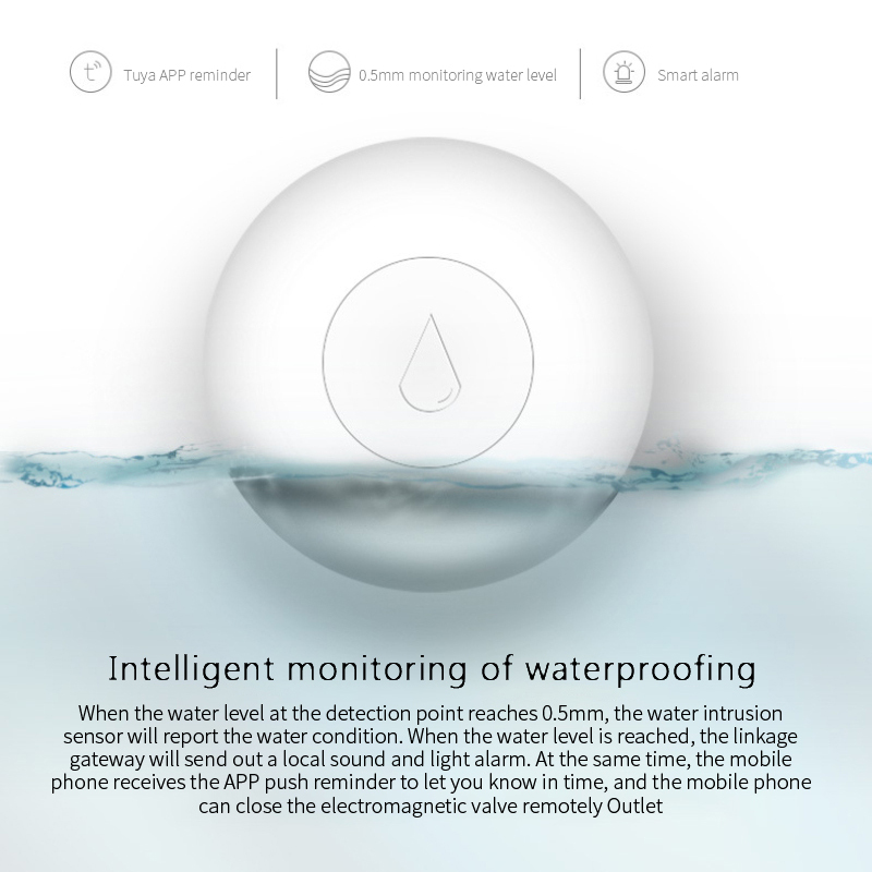 Wireless Water Sensor Zigbee Smart Home Manufacturer FCCID Authentication CE Authentication — foto 5