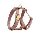 Dog Vest2