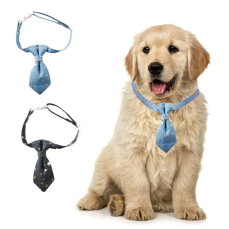 Designer Dog Collar For Small Medium Dogs