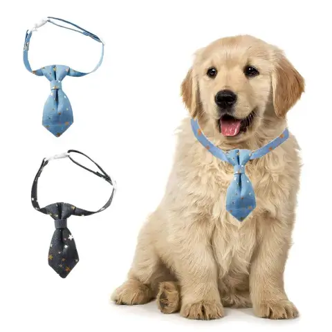 Designer Dog Collar for Small Medium Dogs Long Tie