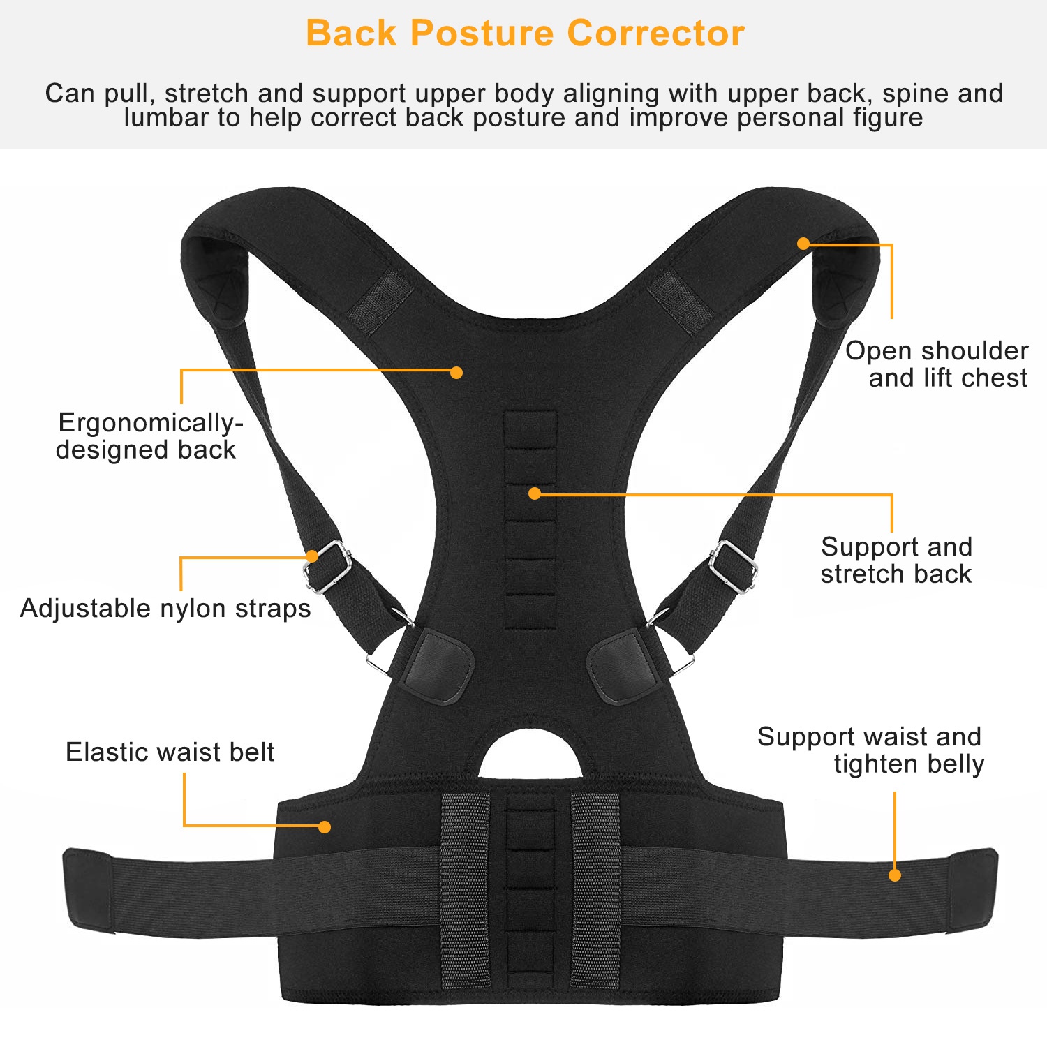 Posture Support Belt