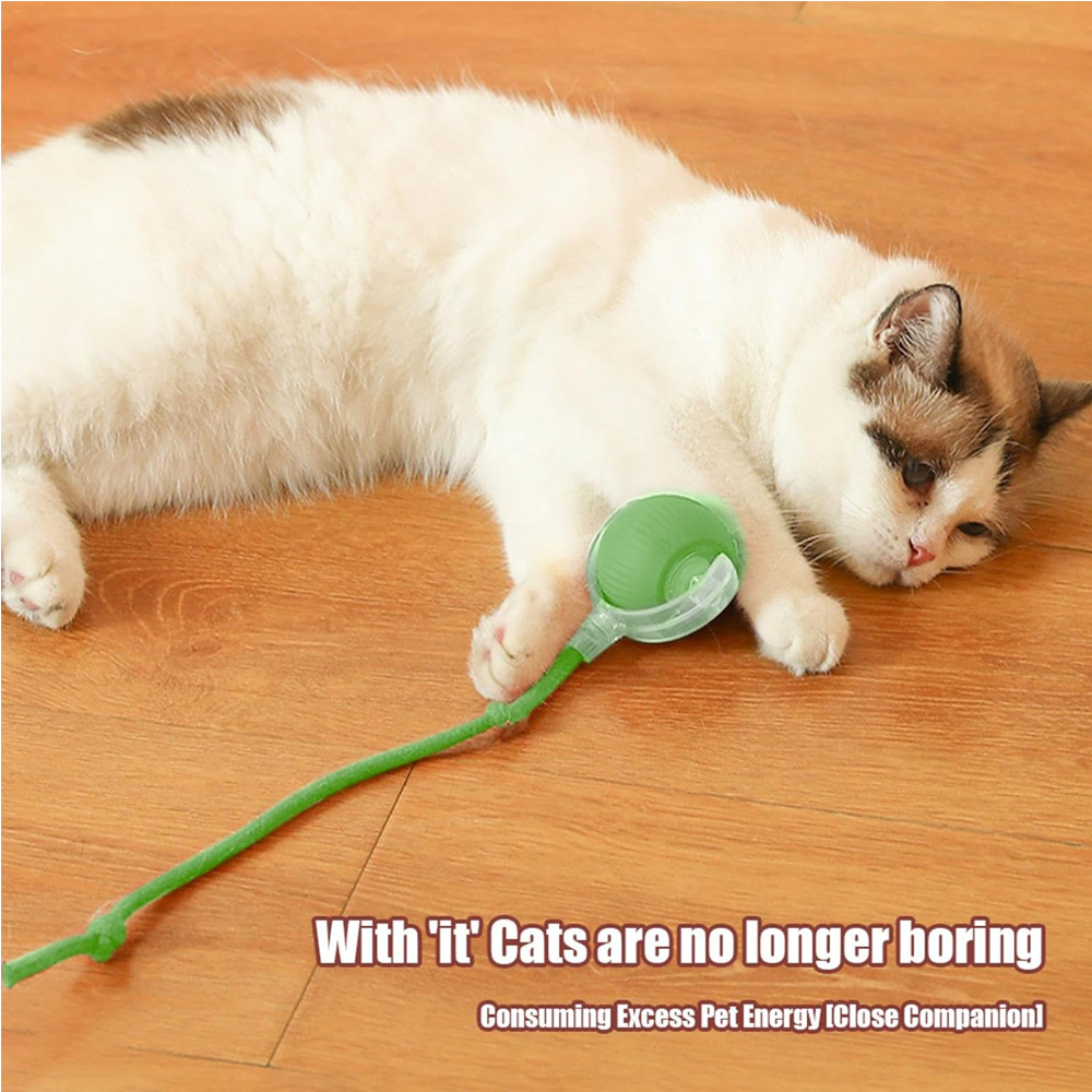Interactive Rolling Cat Ball