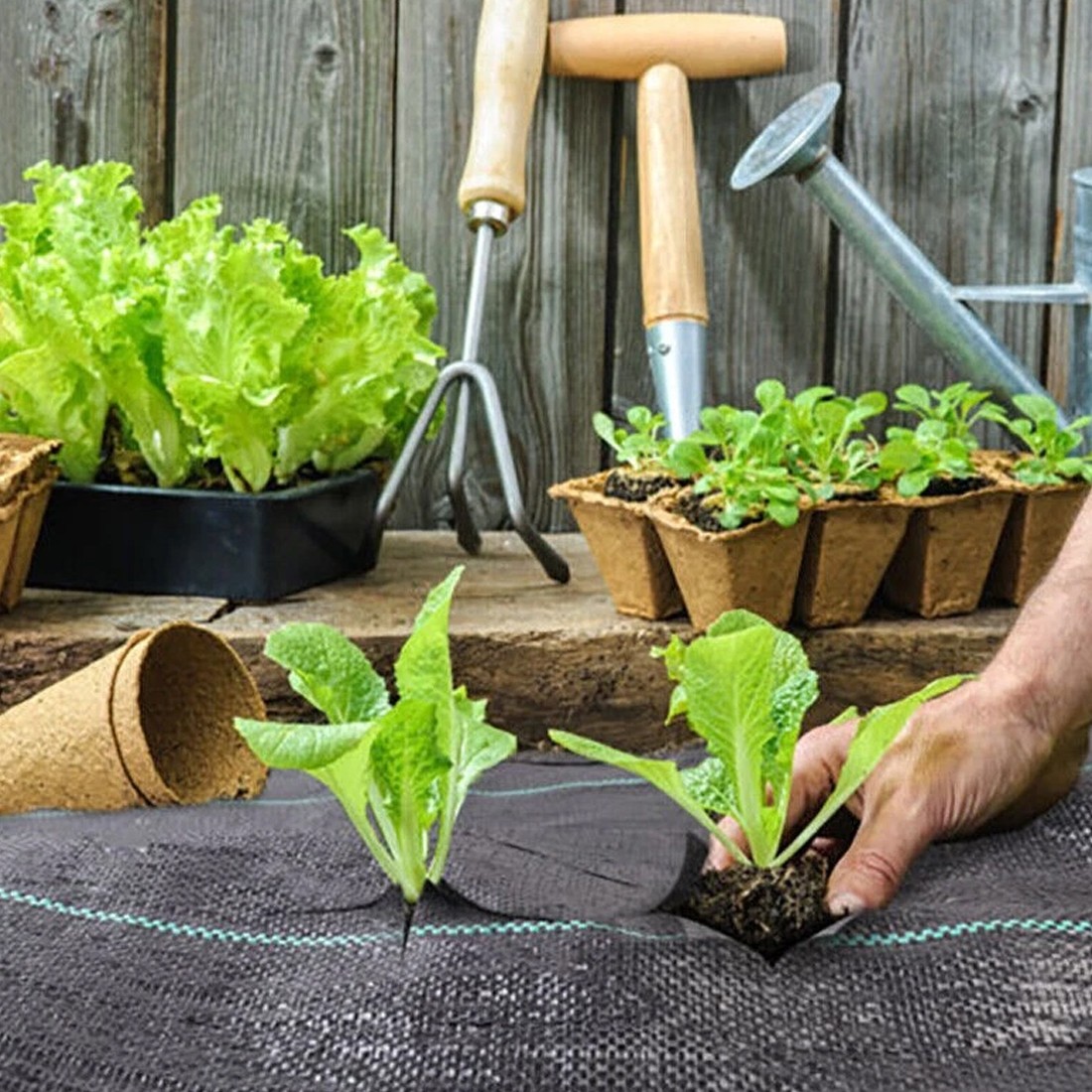 2x25M Heavy Duty Weed Control Membrane Garden Barrier Fabric Landscaping Cover