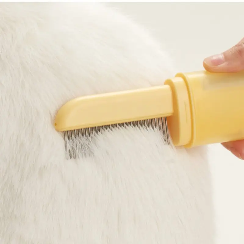 Special Pet Supplies For Long-haired Double-headed Cat
