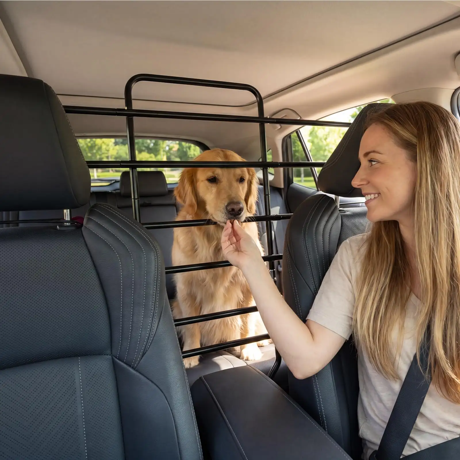 Dog Car Barrier, Easy To Assemble