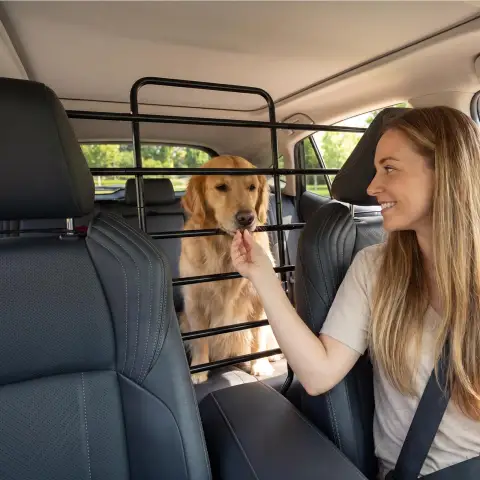 Dog Car Barrier