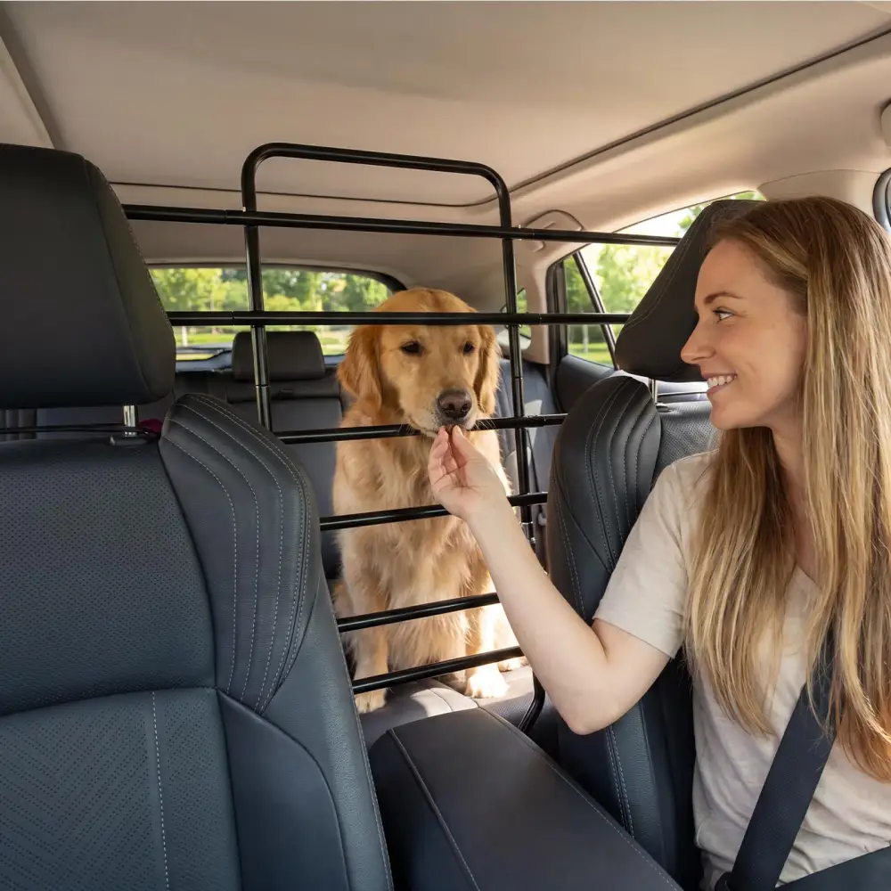 Dog Car Barrier