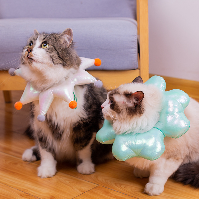 Collier de stérilisation imperméable pour chien et chaton, collier Anti-léchage