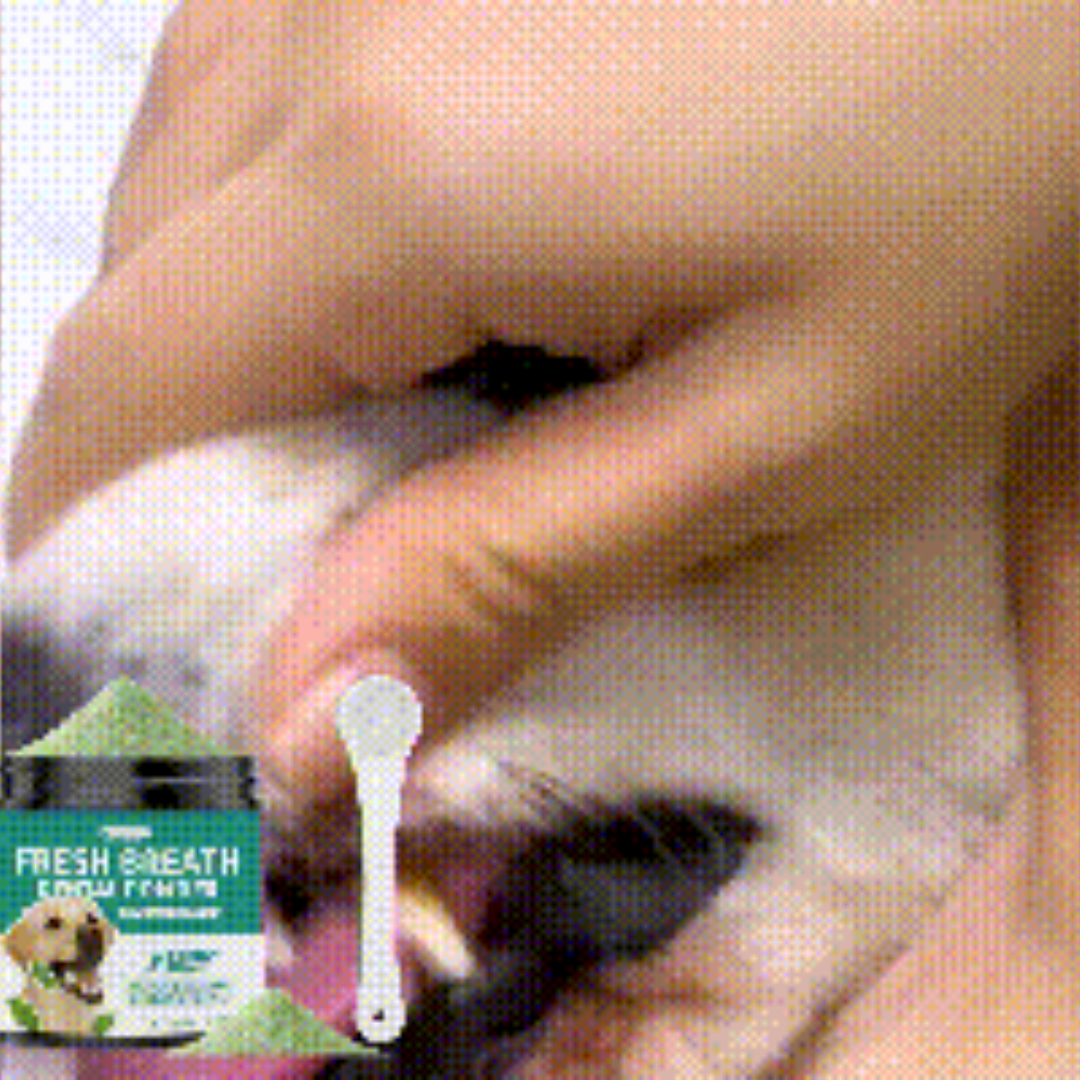 Dog Teeth Cleaning Powder 2