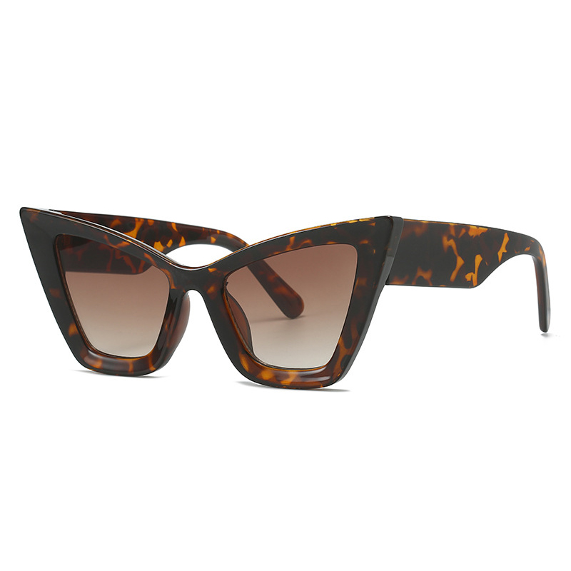 Tortoise shell frame