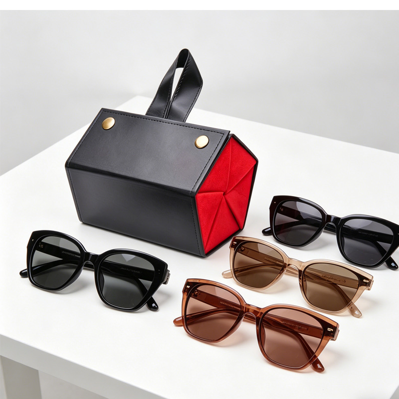 5in1 Sunglasses Travel Case Organizer Hangable, Eyeglasses Foldable Storage Organizer view 6