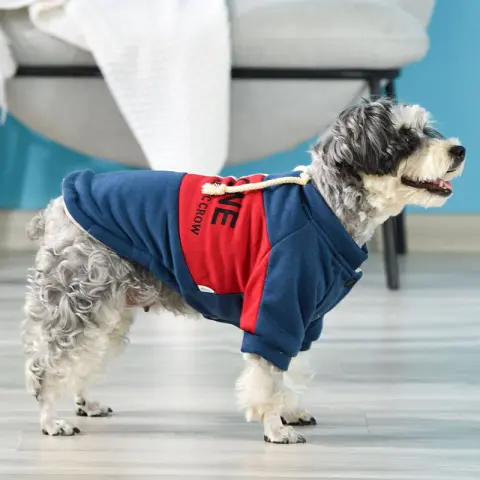 New Teddy Bichon Small Dog Pet Fall Winter Two-legged