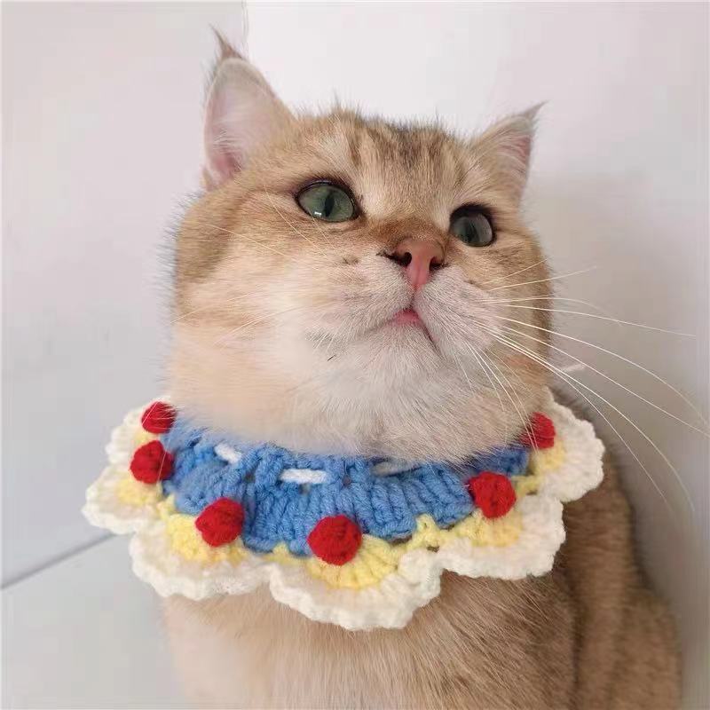Collier tricoté pour chat et chien, écharpe, accessoires de pose