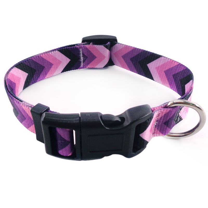 Purple Arrow Collar