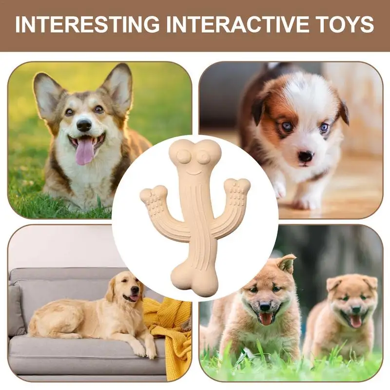 Cactus Puppy Chew Toy Dog Ultra Durable