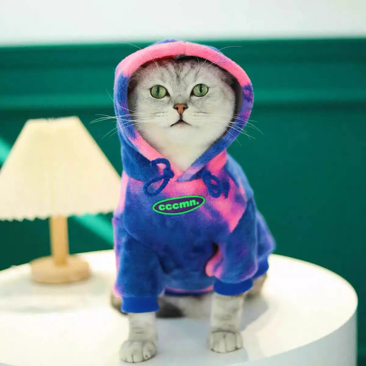 Pet Dog Tide Brand Warm And Thickened