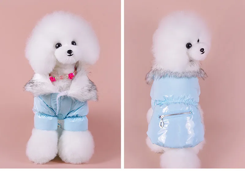 Puppy Cute Padded Down Jacket Keeps Warm In Winter - Blue