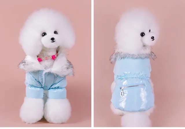 Puppy Cute Padded Down Jacket Keeps Warm In Winter Blue - Shop at LoveMi