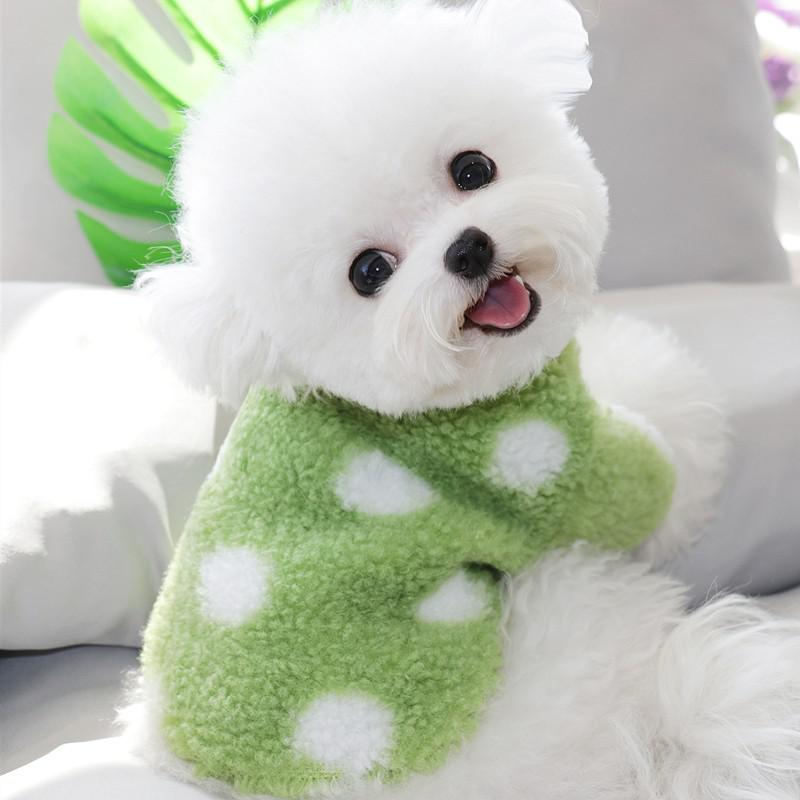 Title 4, Roupa para cães de pequeno porte Bichon, Pomera...