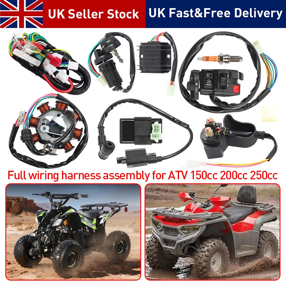 Full Wiring Harness Stator Loom Coil Rectifier CDI Quad 150-250cc — image 2