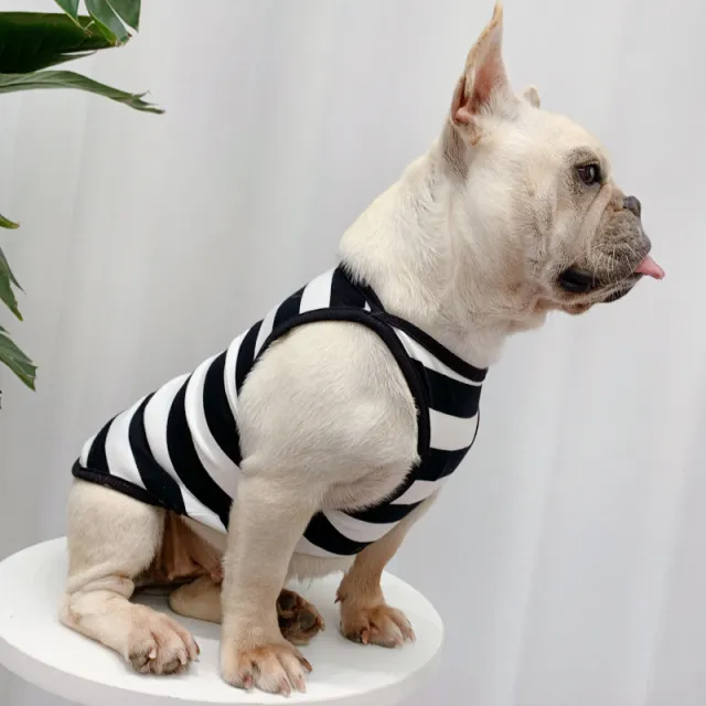 Fashionable And Personalized Dog Summer Clothes Thin Section Black Wide Stripes - Shop at LoveMi