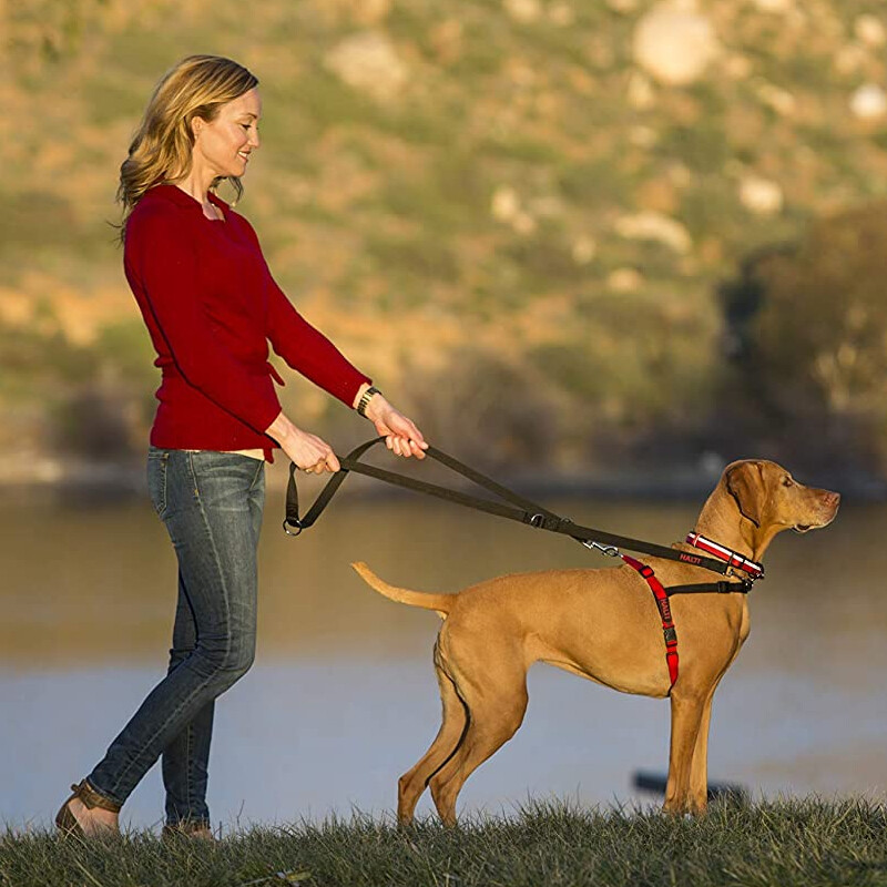 Dog Lead 8ft Adjustable Double Ended Control Training Leash-Police Style NEW — image 4
