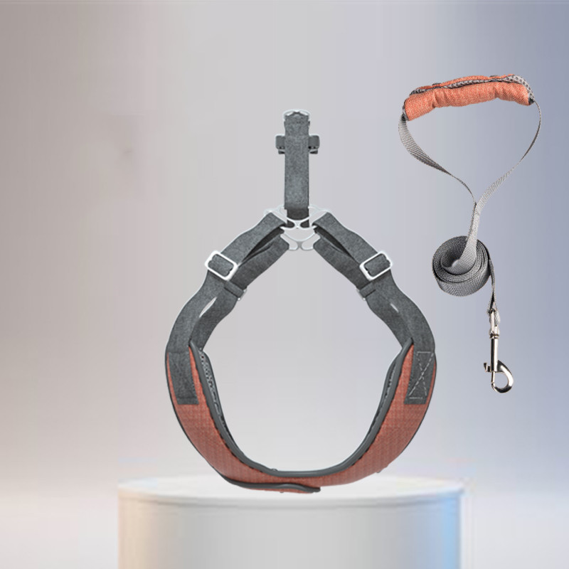 Vitality Orange Plus Leash