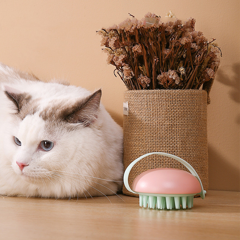 ["宠物生活用品猫狗按摩梳子 宠物洗澡刷 中小型体积猫狗搓澡沐浴梳","宠物生活用品猫狗按摩梳子 宠物洗澡刷 中小型体积猫狗搓澡沐浴梳","塑料猫梳子"]