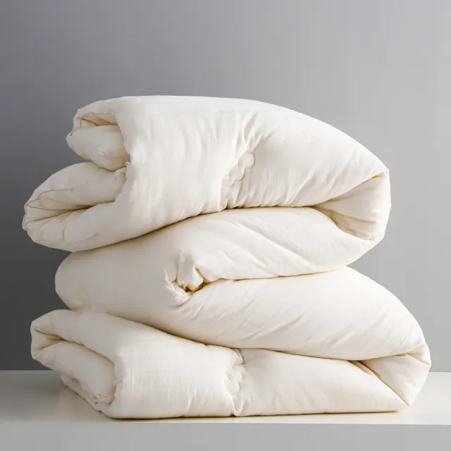 Single Double Spring And Autumn Quilt Antibacterial Quilt Core Cotton Winter Spring And Autumn Quilt - Shop at LoveMi