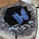 Blue01