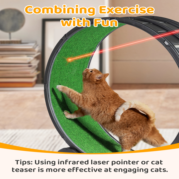 Black Plastic PP Splicing Type With Green Carpet 10kg Cat Treadmill