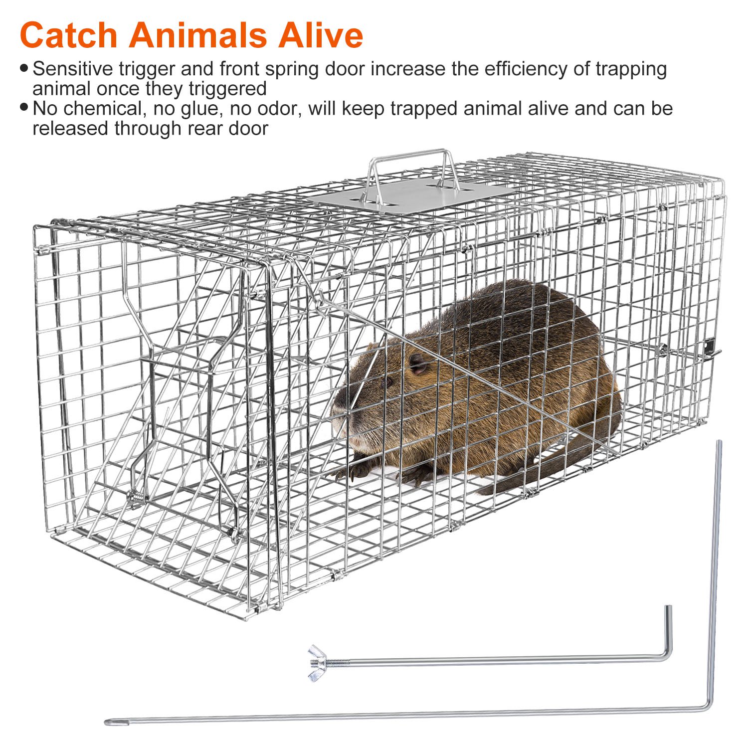 1Pc Humane Cat Trap Cage Catch Release Live Animal Rodent Cage Collapsible Galvanized Wire For Raccoons Beavers Groundhogs Foxes Armadillos Fedex Shipping — view 4